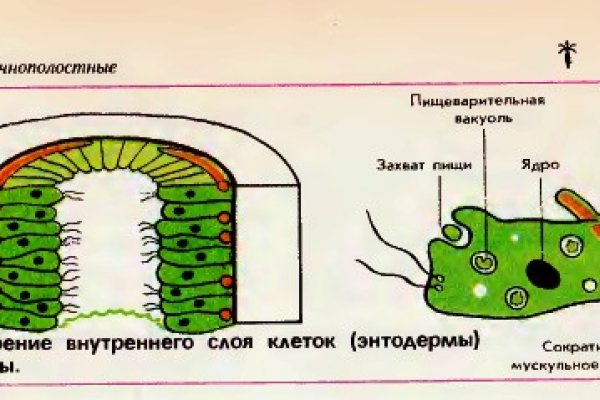 Как купить наркотик в кракен