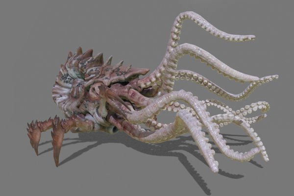 Kraken сайт зеркала krakens15 at